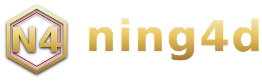 ning4d logo